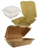 Eco-Friendly Bagasse Hinged Containers 