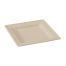 PacknWood 210APU2020ABR, 7.8x7.8x0.6-Inch Square Brown Sugarcane Plate, 500/CS