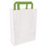 PacknWood 210CAB2518W, 10.15x6.5x11.1-Inch White Paper Bag with Green Handles, 250/CS