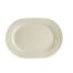 C.A.C. GAD-94, 14-Inch Garden State Porcelain Rectangular Platter, DZ