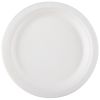Berkley Square 1368000 6-Inch Bagasse Compostable Round Plate, 1000/CS