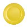 C.A.C. LV-9-Y, 9.75-Inch Yellow Stoneware Plate with Rolled Edge, 2 DZ/CS