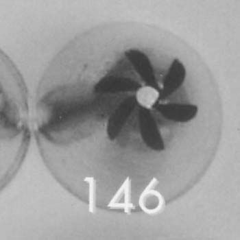 Ateco 146, Medium 6-Petal Drop Flower Decorating Tip