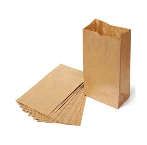 Novolex 20BBP, #20 Brown Paper Bag, 500/PK | McDonald Paper Supplies