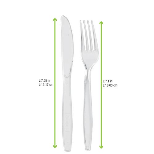 PacknWood 210CV88K21T, 10.7-Inch Wrapped Majesty Cutlery Clear Kit 2/1 (Knife, Fork), 250/CS