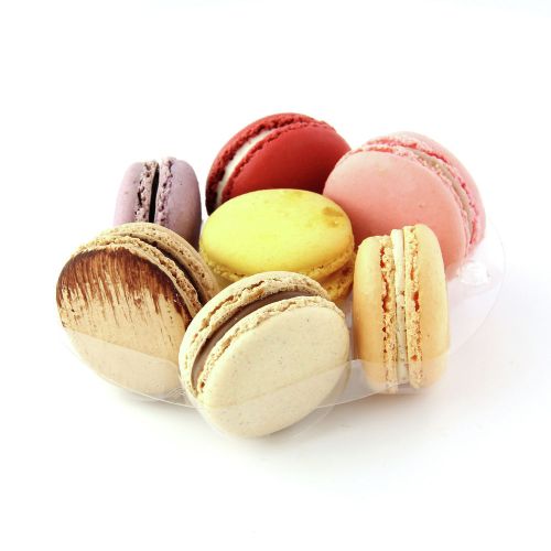 PacknWood 210MACYNS7RD, 5-inch Round Insert for 7 Macarons (1x4) with Clip Closure for 210SAMBOL155 & 210PC750B, 150/CS