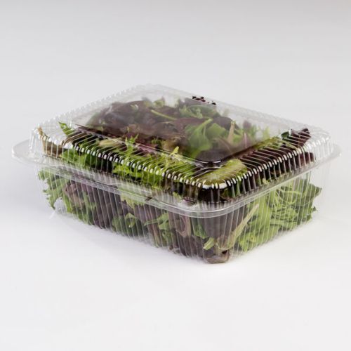 LBH-811, 10.5x8.5x3-Inch Clear Hinged Containers, 250/CS