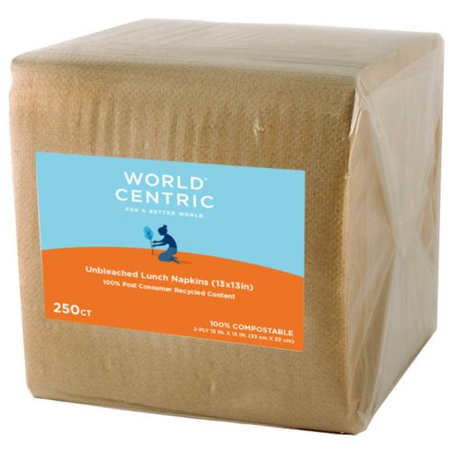 World Centric NP-SC-LN, 2-Ply PCW Paper Square Lunch Napkins, 4000/CS