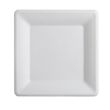 Fineline Settings 42SP10, 10.25-inch Conserveware Bagasse Square Plate, 250/CS
