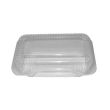 LBH-546, 9.5x5x4-Inch Clear Hinged Containers, 250/CS