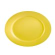 C.A.C. LV-51-Y, 15-Inch Yellow Stoneware Oval Platter, DZ