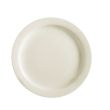 C.A.C. NRC-16, 10.5-Inch Porcelain Plate with Narrow Rim, DZ