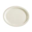 C.A.C. NRC-19, 12.5-Inch Porcelain Oval Platter with Narrow Rim, DZ