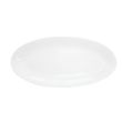 C.A.C. RCN-96, 16-Inch Porcelain Fishia Oval Platter, DZ