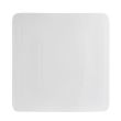 C.A.C. SF-SQ10, 10-Inch Porcelain Square Flat Plate, DZ