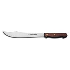 Dexter Russell 11-9PCP, 9-inch Carving Knife with High Carbon Steel Blade