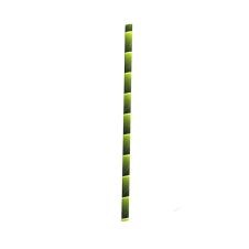 PacknWood 210CHP14BBT, 5.7x0.23-Inch Bamboo Designed Cocktail Paper Straws - Unwrapped, 3000/CS